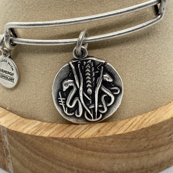 Alex and Ani Reed Charm Bangle Bracelet/Rafaelian Silver/Like New - Picture 2 of 7